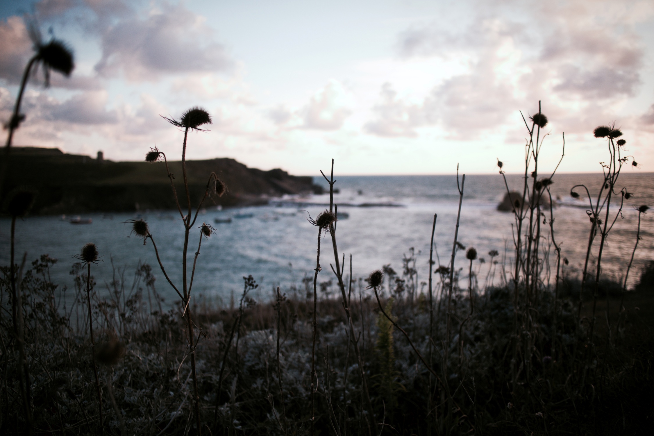 Bude07