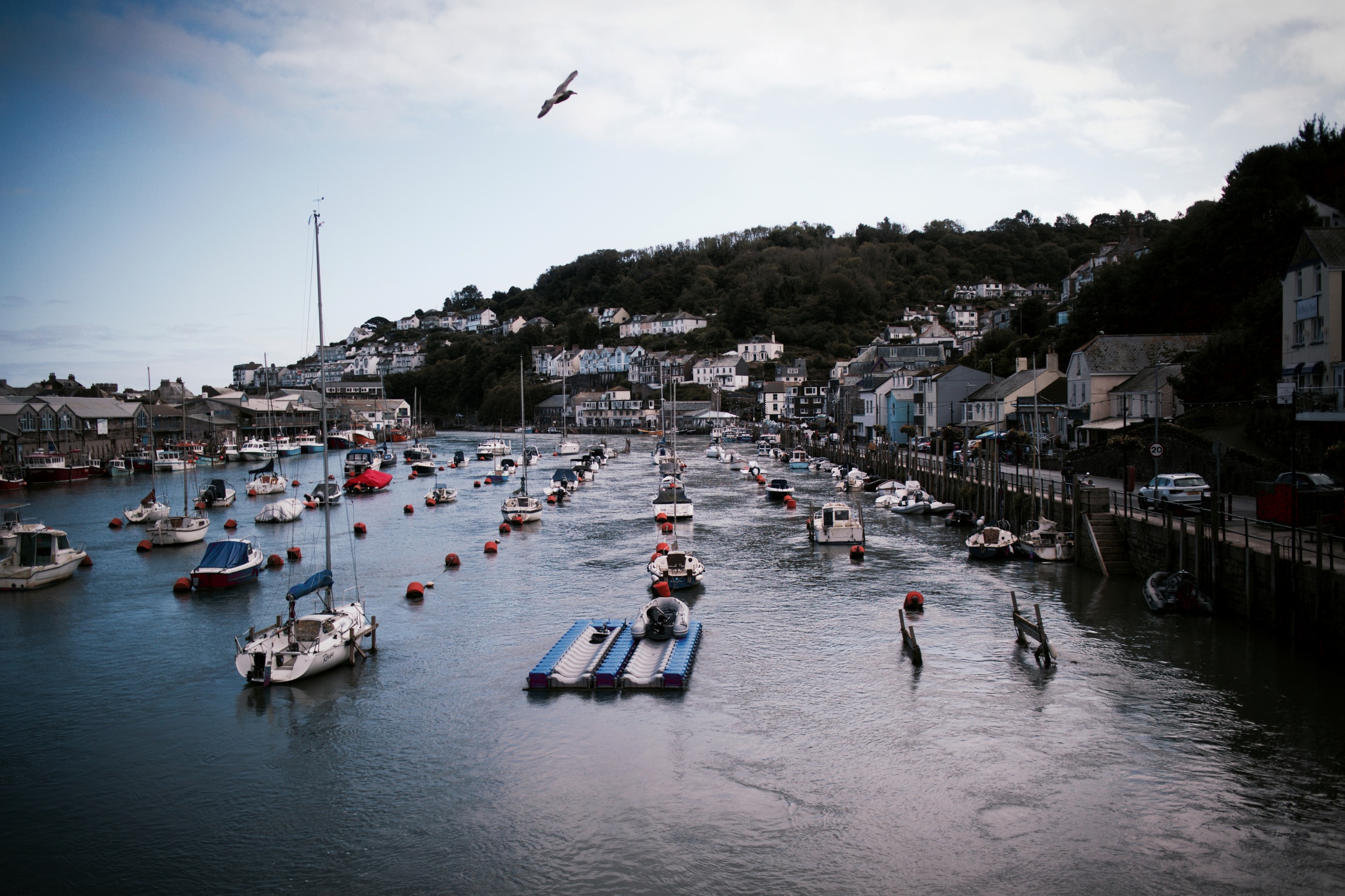 Looe03